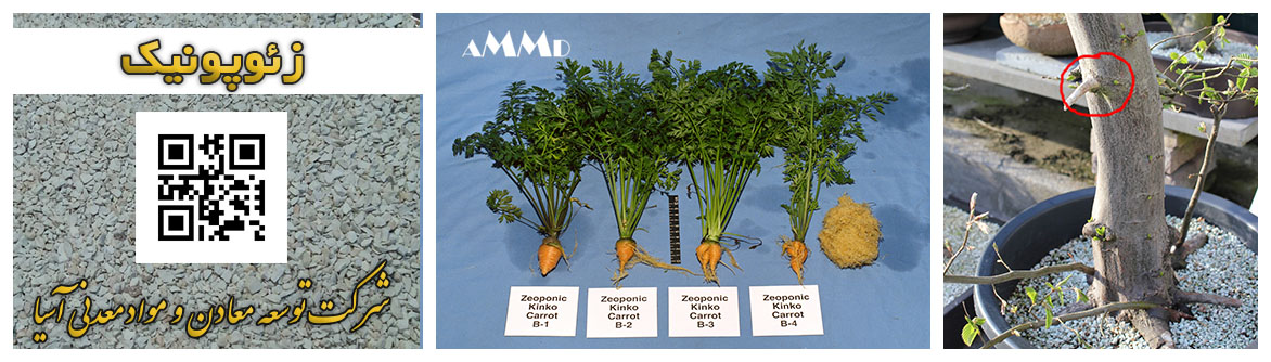 زئوپونیک بستر کشت زئولیت پرورش گیاه خاک کود زئولیت کشاورزی باغبانی پرورش نهال گل و گیاه Zeoponics