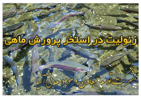 زئولیت استخر پرورش ماهی پلت خوراک ماهی رشد بیشتر وزنگیری ماهی کپور قزل آلا آب سرد